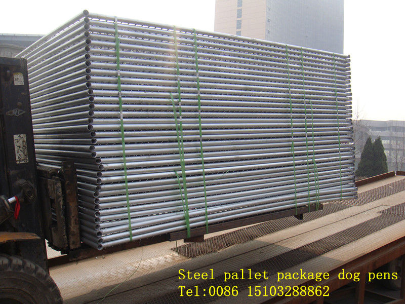 dog cages steel pallet package.jpg
