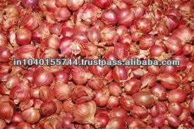 SMALL RED ONION