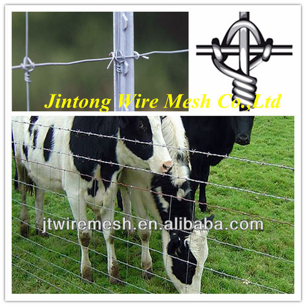 anping cheap fences for sale:garden fence/farm fencing