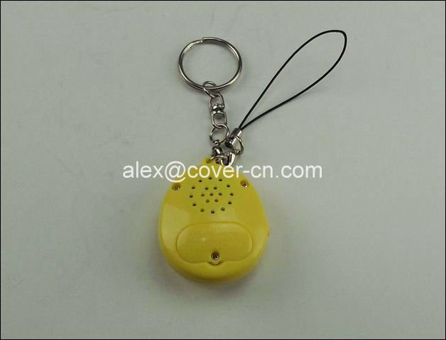 Snap17oval key chain.jpg