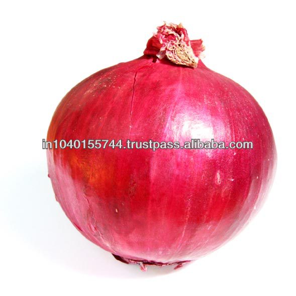 FRESH RED ONION FOR SALE