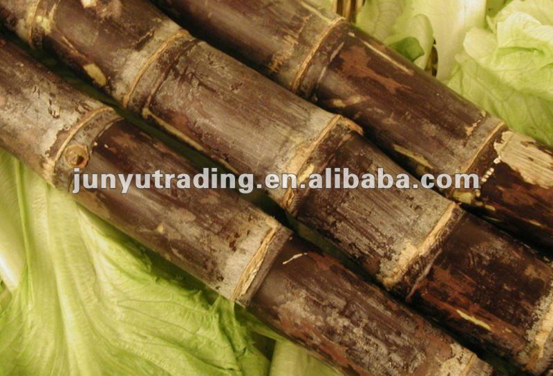 Sugar Cane Processing