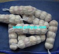 Garlic price from China (the mostcompetitive price)