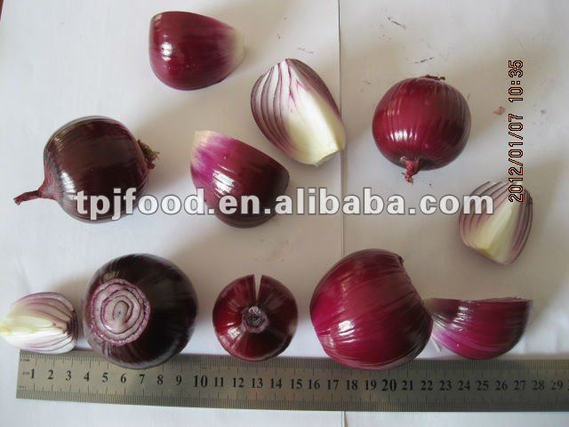 frozen onion dices (frozen onions and peppers)with FDA,BRC,HALAL,KOSHER,HACCP