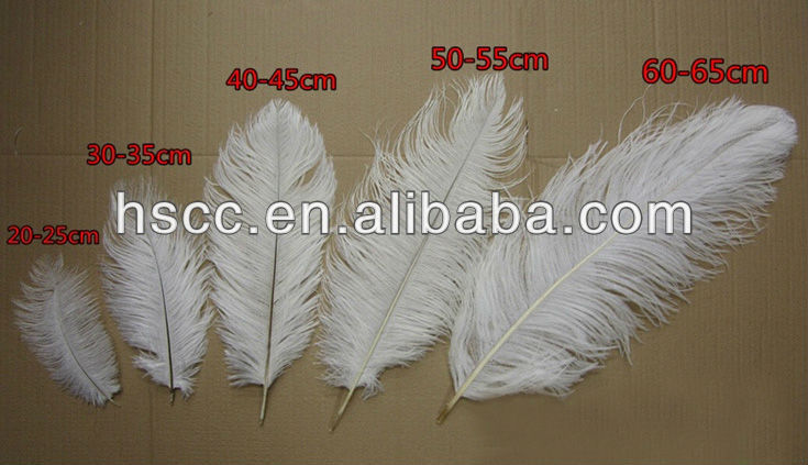Gros décoration de mariage plumes d'autruche blanches cinq tailles