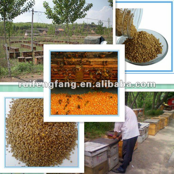 bulk flowder bee pollen for increasing sexual strength