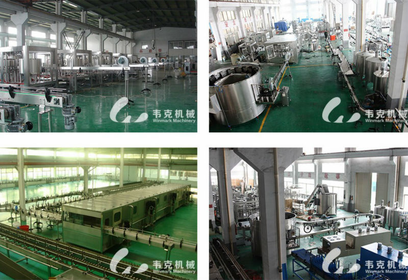 Automatic Red Wine Bottling Machine / Machinery / Line