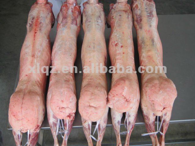 lamb carcass