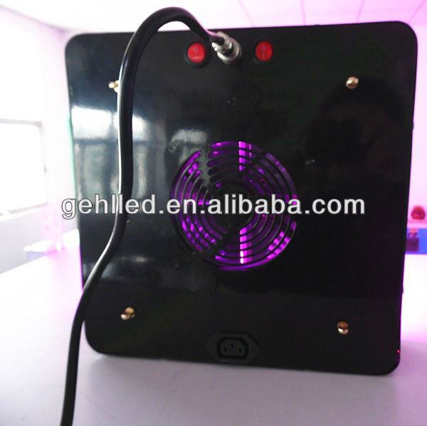 New adjustable full spectrum led grow light for black pepper /luttce