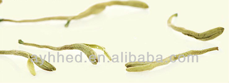 Dried Yellow Honeysuckle flower Tea