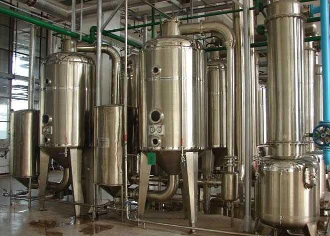 High quality green tea extract powder