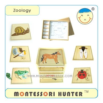 7.Zoology