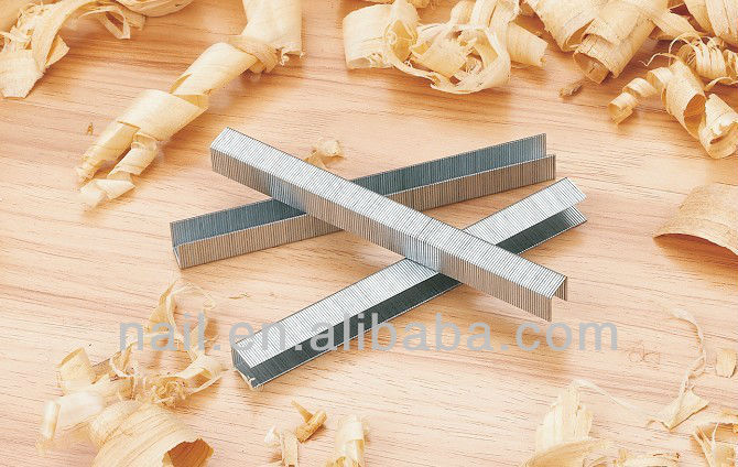 R13Staples.jpg