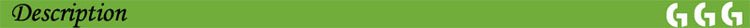 new design Solar Power Fountain Pond Pool Water Pump Kit+Free shipping