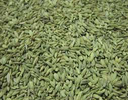 Excellent quality of fennel