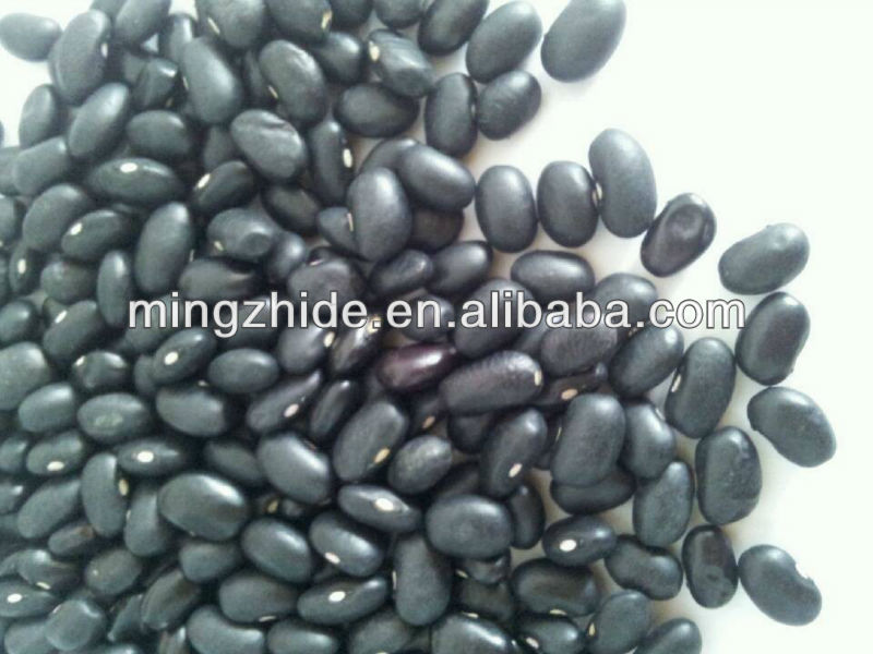 green mung beans specification