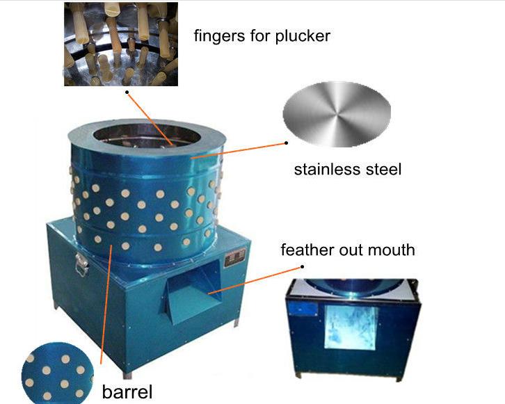 Full Automatic chicken coop designs plucker machine high efficiency sell chicken feet for plucker