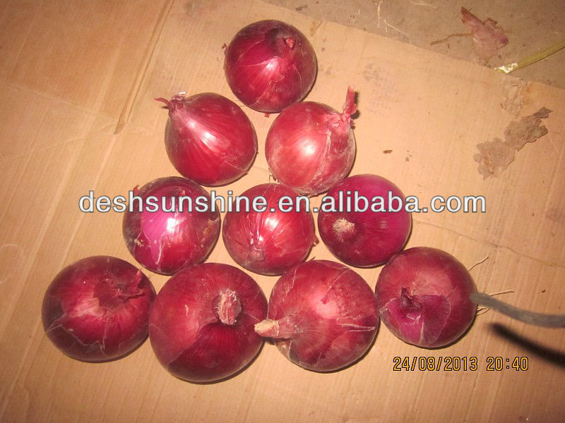 bulk small red onions, best price for red onion