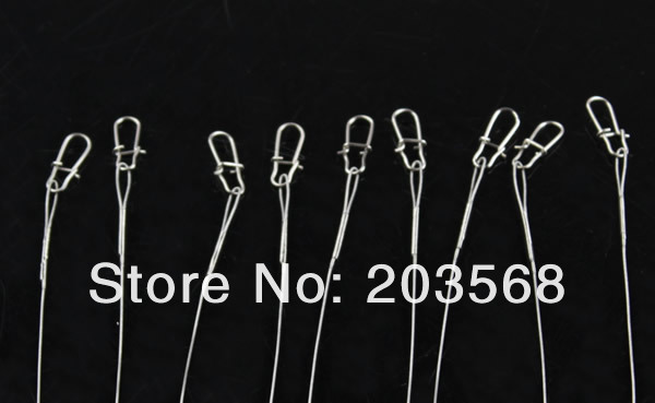 D3101.3.jpg