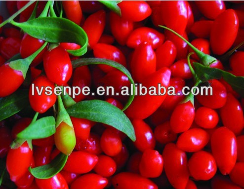 GMP Manufacturer High Quality &100% natural tibetan goji berries extract powder