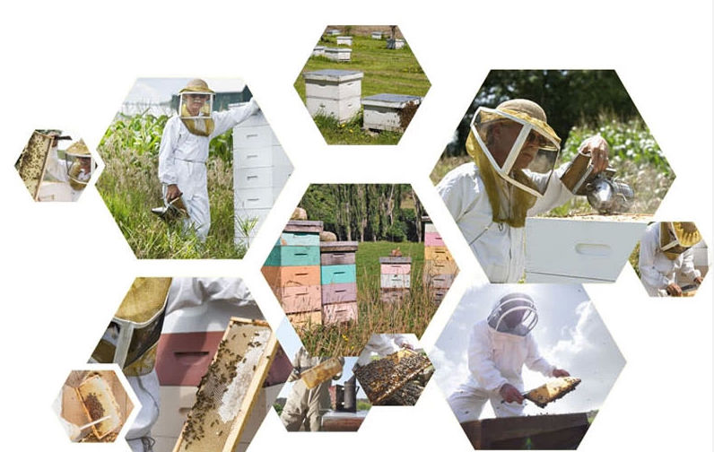 china 2014 New Sidr Multiflower Honey Manufacturer for sale