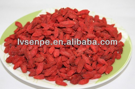 Organic Goji berry extract powder manufacturer in bulk