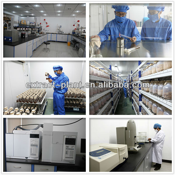 instant oolong tea extract powder from China