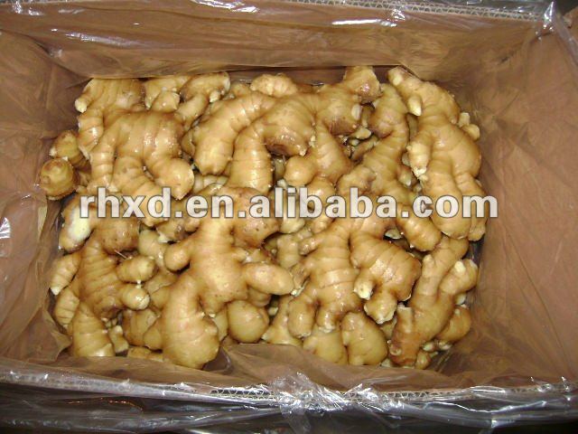 2013 bulk specification fresh ginger