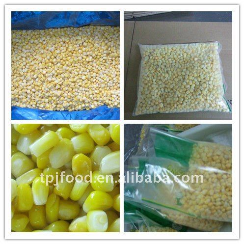 NON-GMO IQF frozen sweet corn kernels