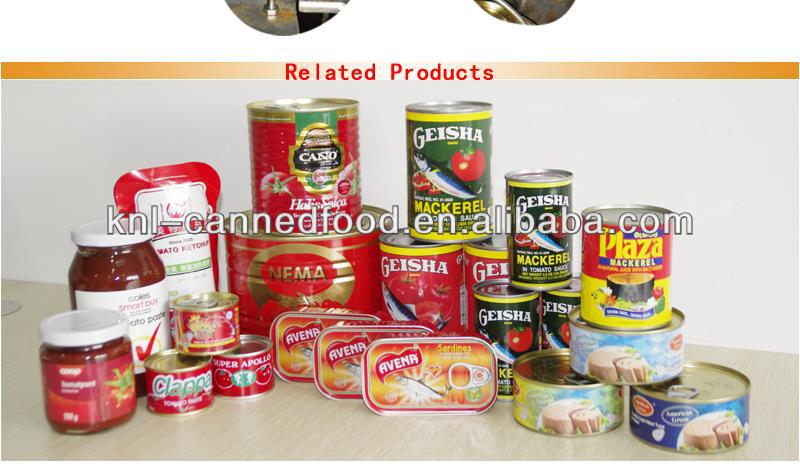 Tomato paste factory good quality/good service 70gX50tins