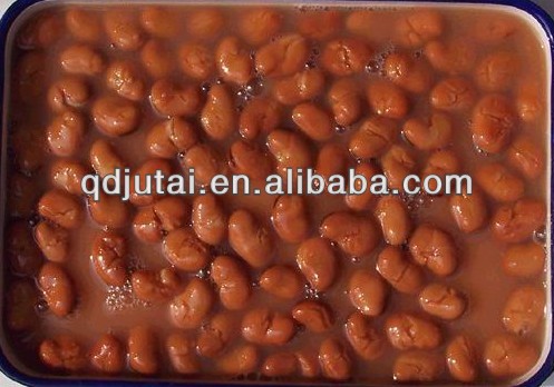 Canned broad beans/ fava beans/ foul medames