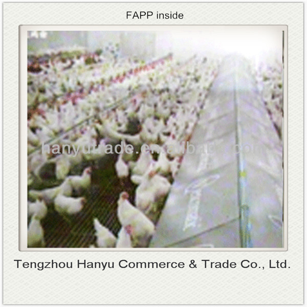high quality vaccine production spf egg