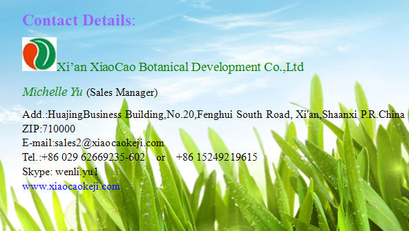 Manufacturer Supply 100% Natural Green Tea Extract Powder 90% Polyphenols/Green Tea Supplement
