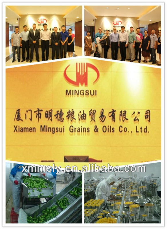 China IQF champigon mushroom slice