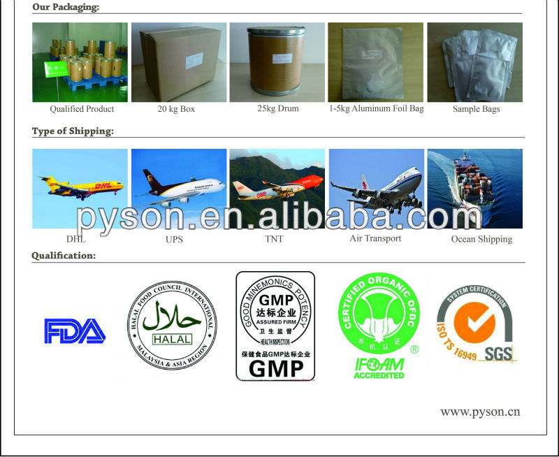 Natural Cocoa Seeds Extracts from GMP Manufacturer