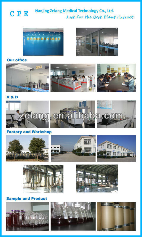 Arachis Plant Extract CAS NO:491-70-3 Luteolin