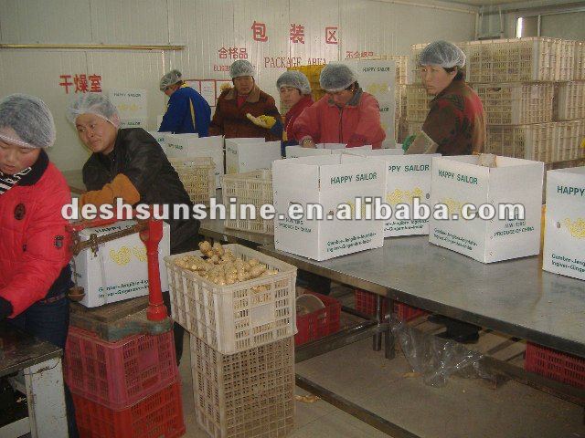 Grade A chinese air dry ginger(100-350g)