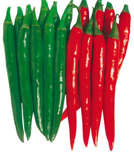 F1 Hybrid Red Sharp Chili Pepper Seeds For Sale/Planting-FST903