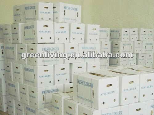 2012 best quality chinese fresh ginger 150g up