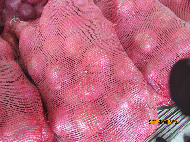 2014 fresh onion prices in in china