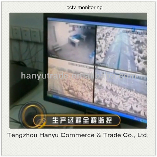 high quality vaccine production spf egg