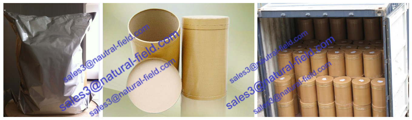 High Quality Eucommia Extract Powder Chlorogenic Acid 98% Manufacturer