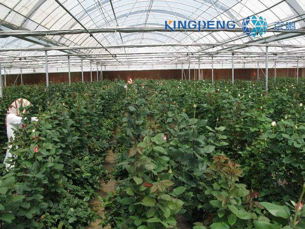Double Layer Air Inflated Plastic Greenhouse greenhouse plastic double layer Double Layer Air Inflated Plastic Greenhouse greenhouse plastic double layer