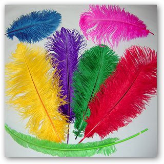 decorative feathers