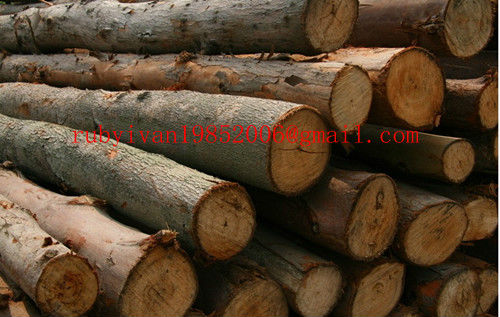 オリーブの木カッター/ミニ爪カッターマシン/ブルガリアで切った薪木仕入れ・メーカー・工場