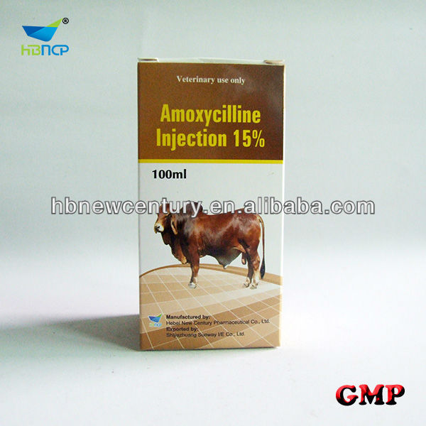 amoxycillin-5.jpg