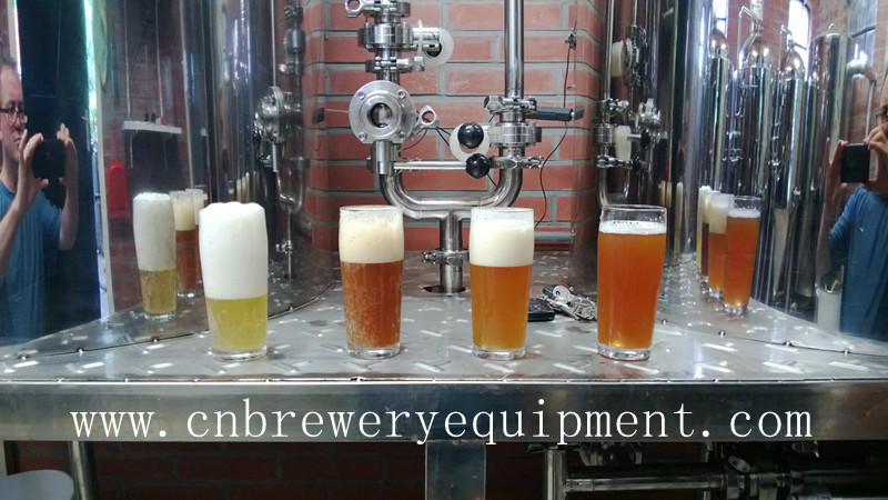 100L Pub/Bar/Hotel Fresh Beer Brewing Equipment