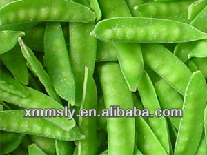 Wholesale high quality frozen snow pea pods