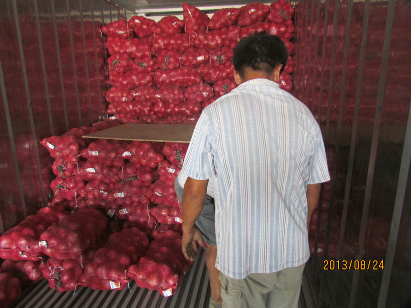 2014 fresh onion prices in in china