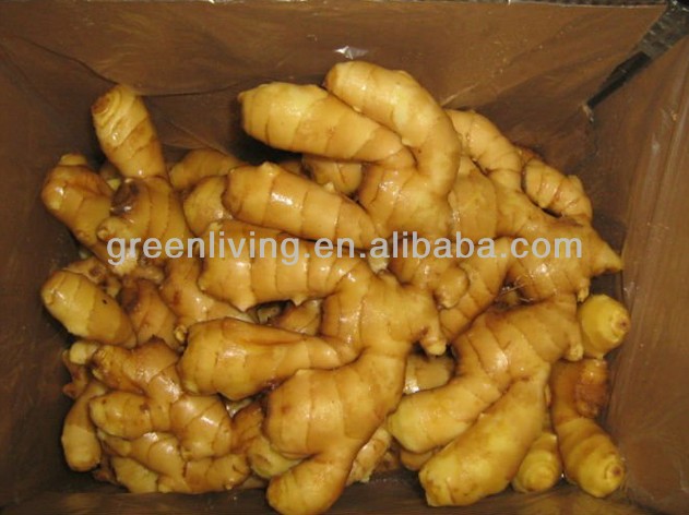 all kinds of ginger direct from factory with cheap price (80-150g,150g,200g&up)
